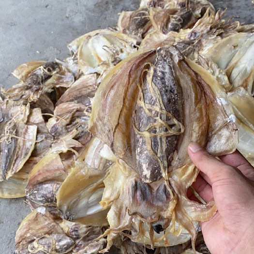 北海包装盒定制  墨鱼干厂家批发大墨鱼干小墨鱼干淡晒墨鱼干