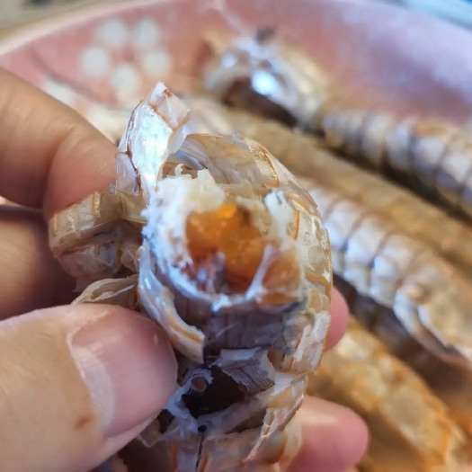 连云港熟冻皮皮虾 带膏皮皮虾 新鲜熟冻皮皮虾海捕螳螂虾鲜活水产品