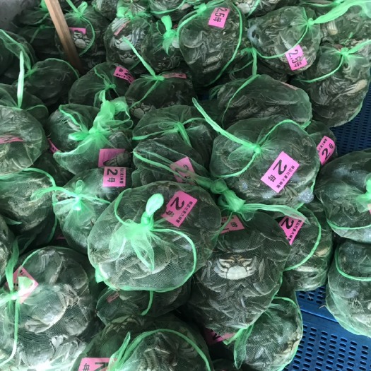 兴化市 壹品大闸蟹