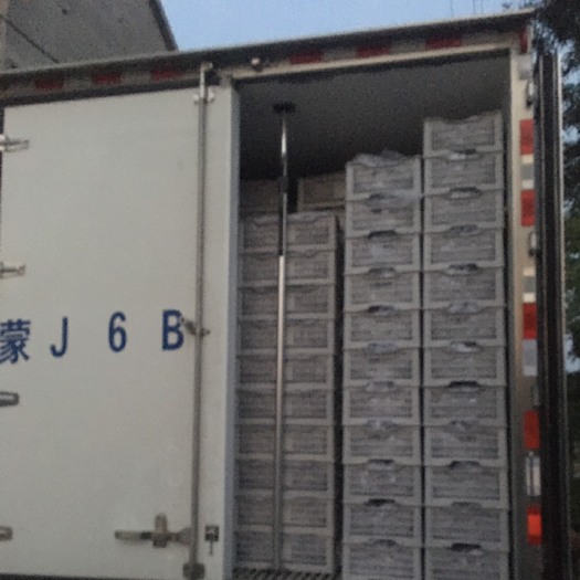 合阳县新鲜红提上市啦，要的老板速度与我联系。
