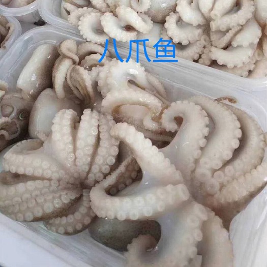 北海300g八爪鱼新鲜爆头海鲜鲜活冷冻迷你小章鱼鲜活 北海涠洲岛