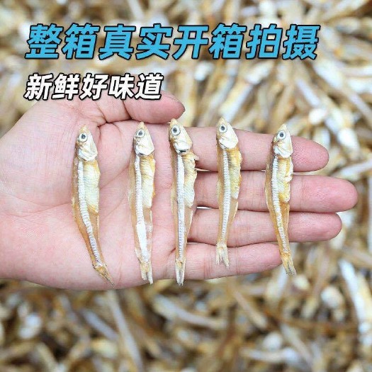 广州深海天然小鱼干  公鱼干