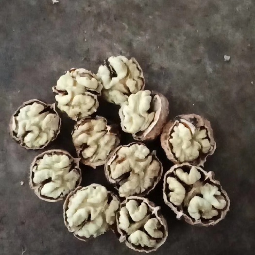 保山 云南大泡核桃