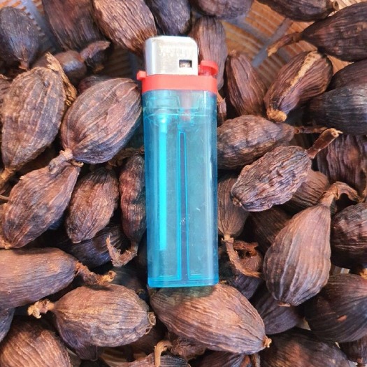 河口县草果 越南 一手货源 量大。碳烤 实物如照片