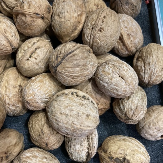 渭南 自家地里优质新鲜核桃，皮薄肉大，油而不腻、口齿生香。
