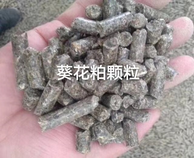 青岛葵花饼饲料 乌克兰葵粕