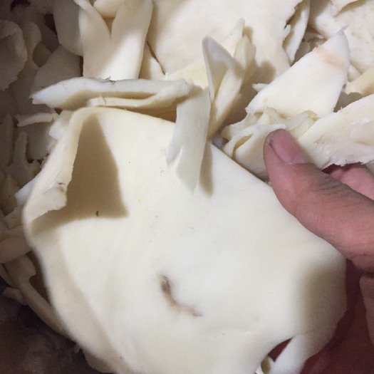 仙游县 鱿鱼干