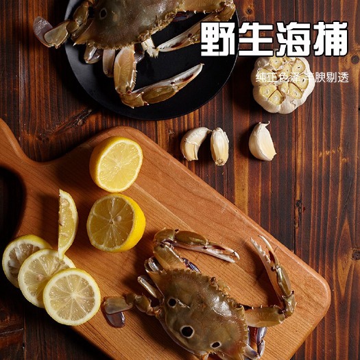 东山县三点蟹 母蟹 2.0两以下 