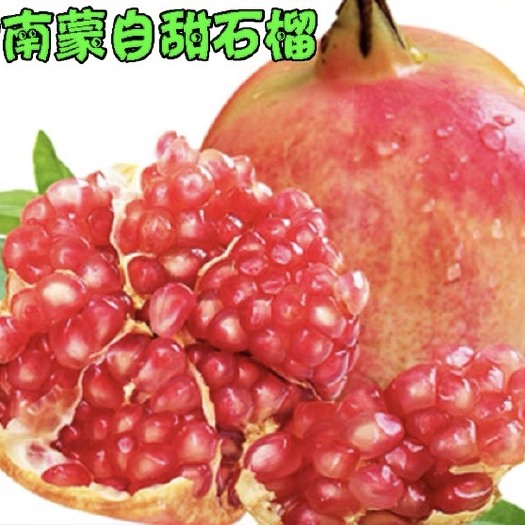 蒙自市蒙自石榴 云南蒙自软籽石榴