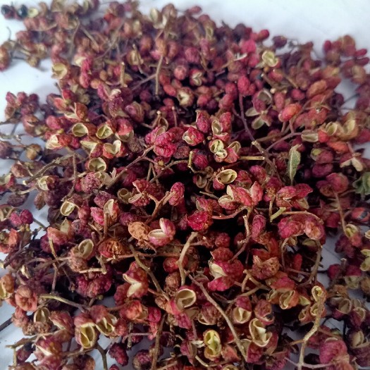 济南 山东花椒 干花椒 大红袍  自家采摘晒干麻辣大量供应