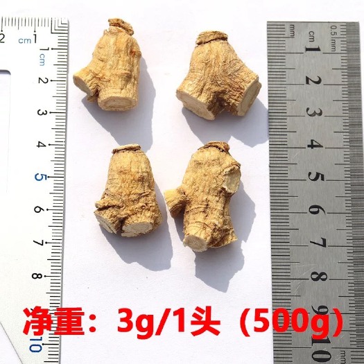 云霄县西洋参 西洋参 3g粒