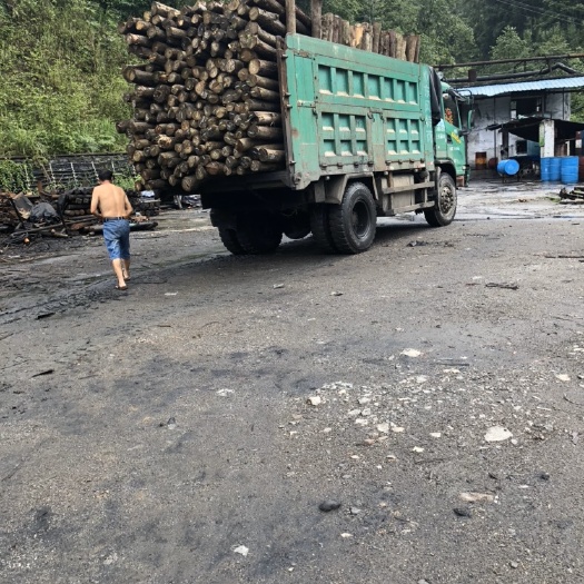 织金县 杉木