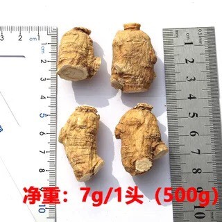 榆树市西洋参 西洋参 7g粒头