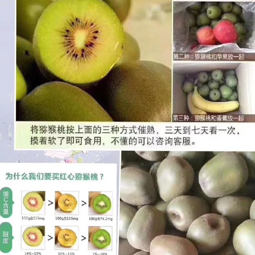 绍兴红心猕猴桃