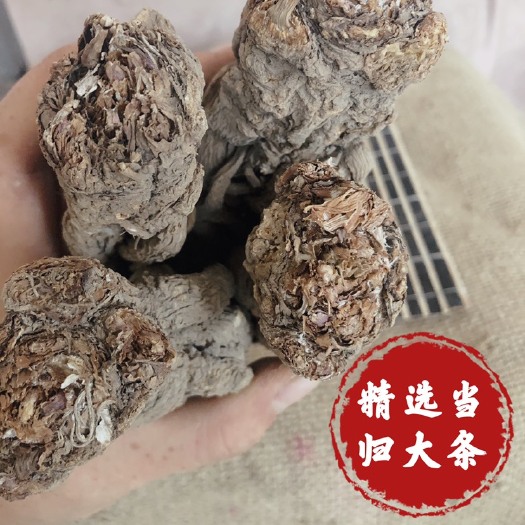 岷县岷当归  【热销】当归 产地批发当归条 无硫当归条 当归大条