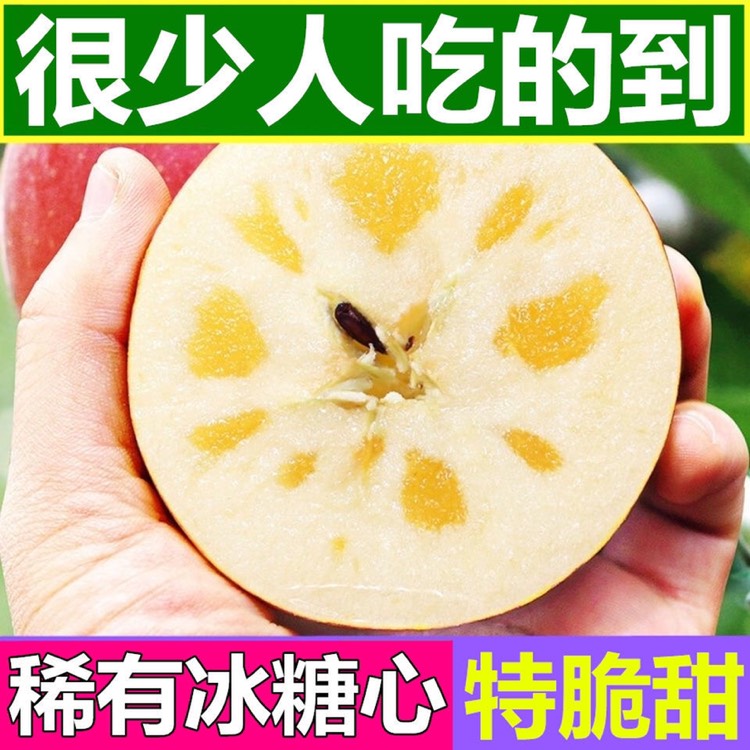 平邑县冰糖心苹果苗 嫁接冰糖心苹果树苗基地直销当年结果下单起苗保证品种