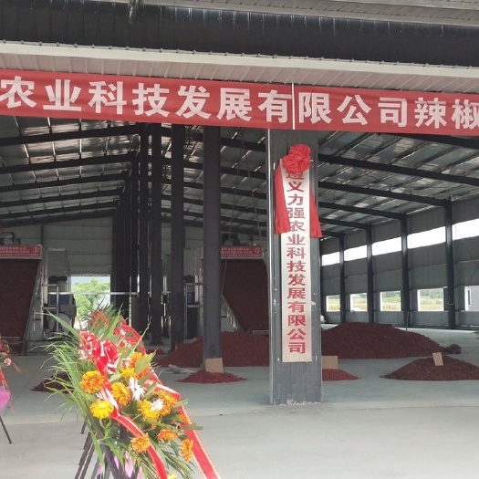 绥阳县小米椒干辣椒  自己烘干厂出售各种精品辣椒销售，通货销售。