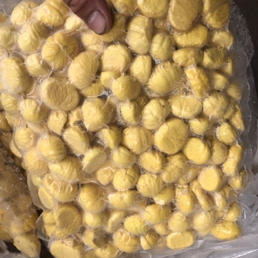 广州湖北阳新板栗 羊毛栗