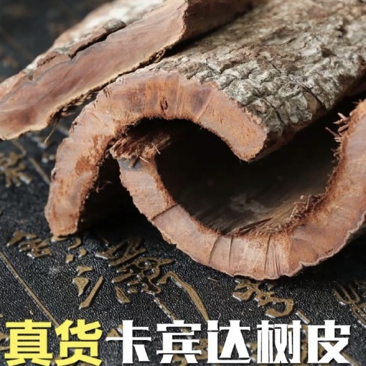 昆明安哥拉树皮  安哥拉，卡宾达树皮，精选分拣 大货批发