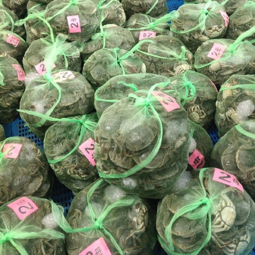 宿迁骆马湖大闸蟹  江苏宿迁骆马湖精品大闸蟹干货50规格