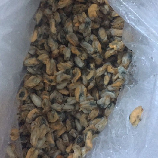 海瓜子肉