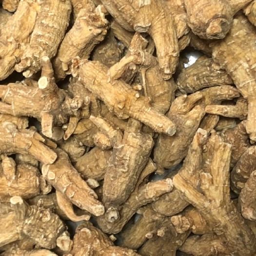 深圳西洋参 花旗参 西洋参，原丛粒头全规格都有