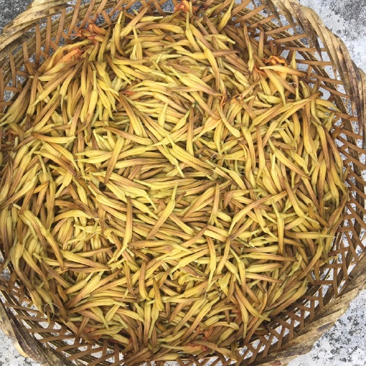 大埔县梅州银江金针菜