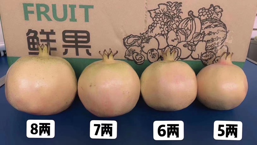 蒙自市蒙自石榴  自家果园，蒙自禄籽甜石榴，皮薄，果粒大、汁多、籽小二十年老树