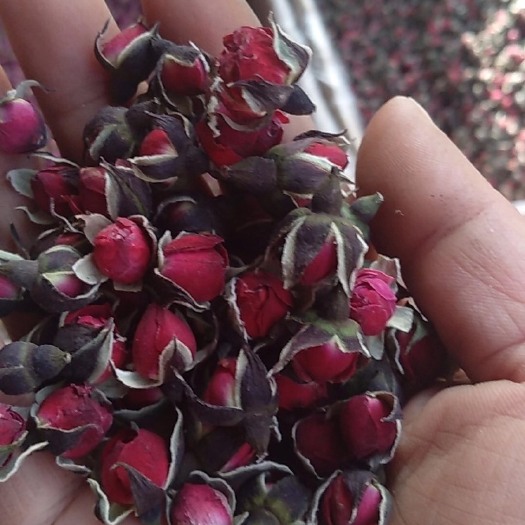 玉林玫瑰花茶 金边玫瑰 爱美的女性少不了的泡茶饮品