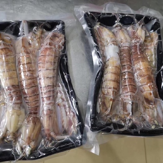 北海活煮皮皮虾 酒店使用 肉质鲜美