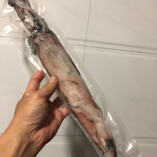 饶平县大管鱿鱼  新鲜活冻鱿鱼，特大/大中小，各种规格，下单前请咨询