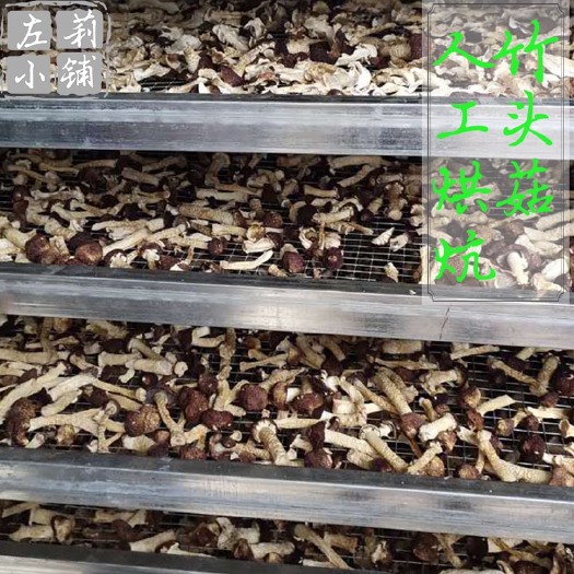 宜宾竹头菇球盖菌赤松茸