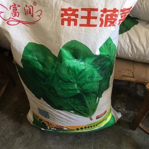 南陵县菠菜种子  尖叶菠菜