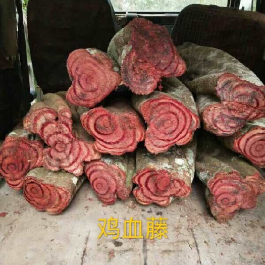 景洪市 云南新鲜鸡血藤，黑血藤，大血藤，过江龙，朱砂莲。梅花血藤，