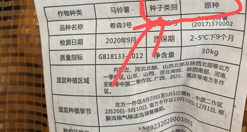 南宁荷兰15号种薯 希森三号原种