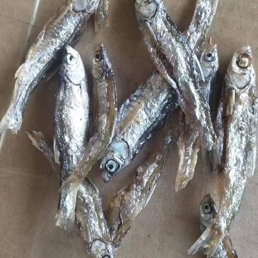 广州干炸小公鱼 油炸白条鱼，现场直播，不管市场，走鬼卖得非常好。回头客非常多