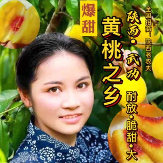 西安锦香黄桃  陕西武功百亩优质黄桃口感 脆 甜 爽口