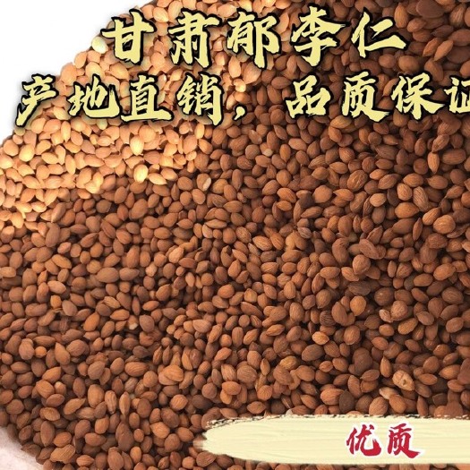 安国市甘肃郁李仁 包化验包全检 产地直销 大货供应量大从优