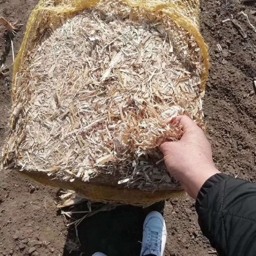 黑山县青干草饲料 无土无朔料东北绿色玉米秸秆