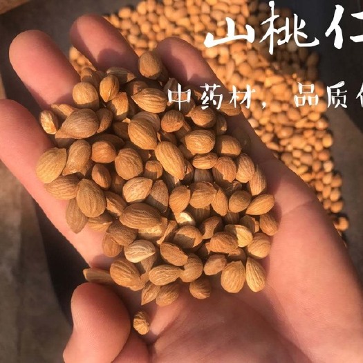 安国市一级手选货 桃仁 包全检包化验药厂大货供应产地直销