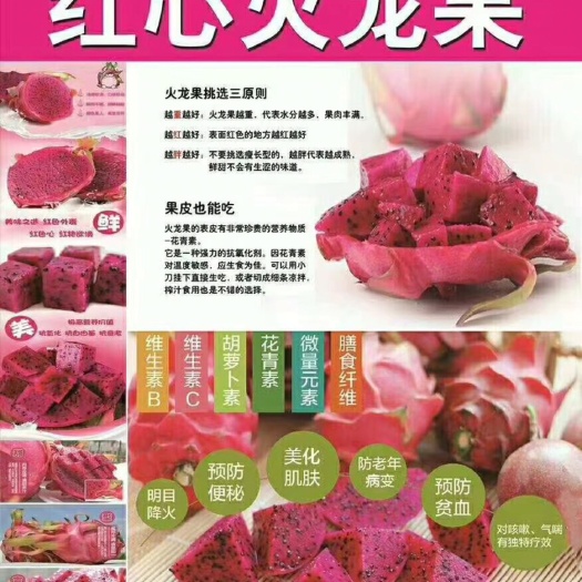 金堂县自产自销，自家果园的金都一号红心火龙果，新鲜水果