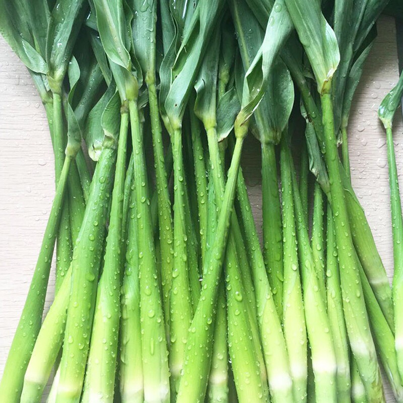 昌图县乌米菌  东北乌米专销绿色食品全国经销