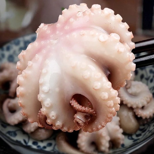三亚八爪鱼500g/包