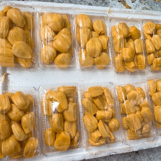 南宁 海南菠萝蜜