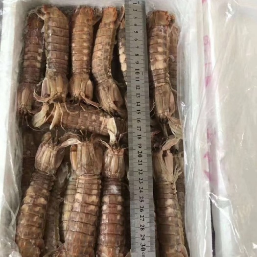 荣成市熟冻皮皮虾