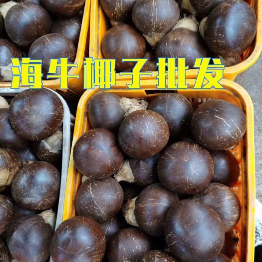 越南椰皇，30个一袋，一袋起批发