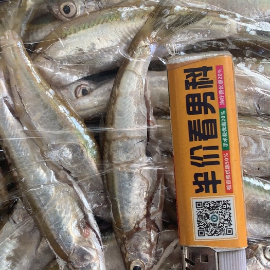杜尔伯特冷冻白条鱼 大量加工白条，各种规格，各种型号