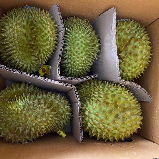广州金枕榴莲  泰国金枕头