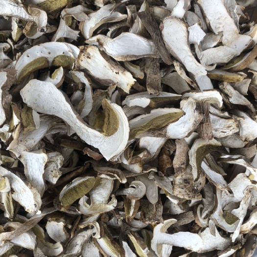 昆明2021年美味牛肝菌干片