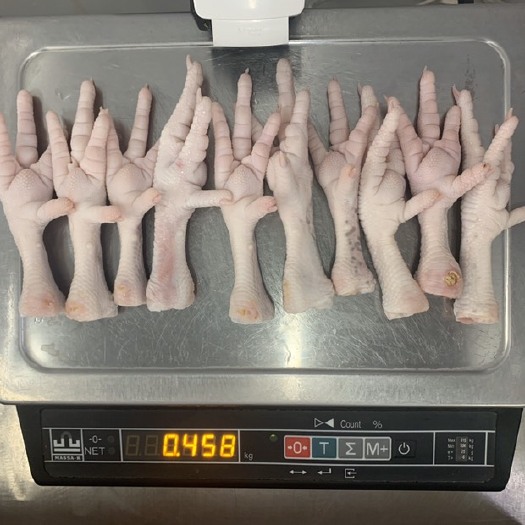 青岛 俄罗斯鸡爪